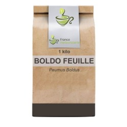 Tisane Boldo feuille 1 KILO Peumus boldus.