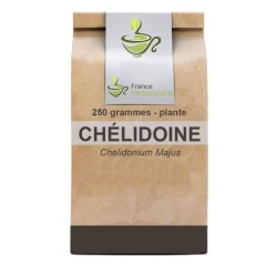 Tisane Chélidoine plante 250 GRS Chelidonium majus