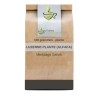 Luzerne (Alfalfa) plante 100 GRS Medicago sativa