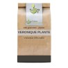 Véronique plante CT 100 g Veronica officinalis