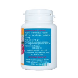 ARTICHAUT Blatt 100 Kapseln mit einer Dosierung von 200 mg.