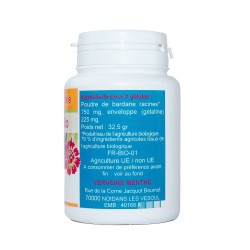 Klettenwurzel-Kapseln 100 Kapseln mit einer Dosierung von 250 mg.