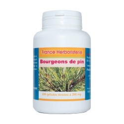 BOURGEONS DE PIN 200 gélules dosées à 200 mg