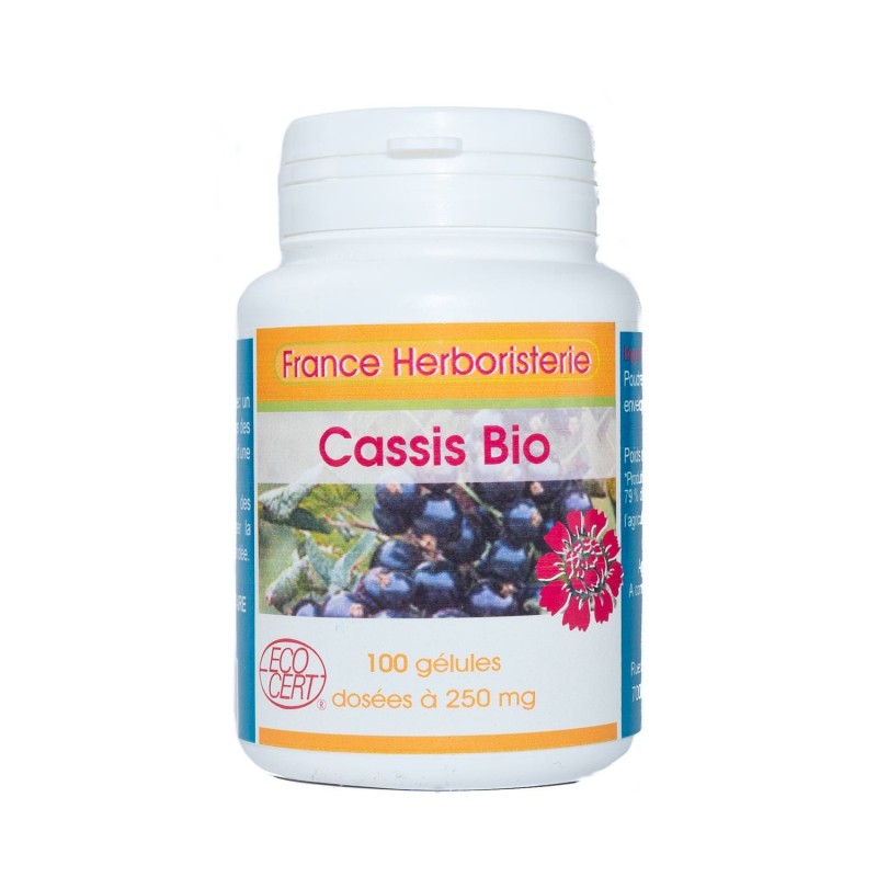 GELULES CASSIS feuille 120 gélules dosées à 270 mg