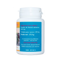 FENCHELGELN 100 Kapseln mit einer Dosierung von 300 mg.