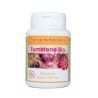 GELULES FUMETERRE plante 100 gélules dosées à 200mg.