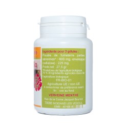 GELULES FUMETERRE plante 100 gélules dosées à 200mg.