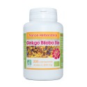 GINKGO-BILOBA BIO AB 200 Tabletten mit einer Dosierung von 300 mg in Tablettenform.