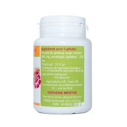 GELULES GINSENG panax meyer 360 mg 100 gélules
