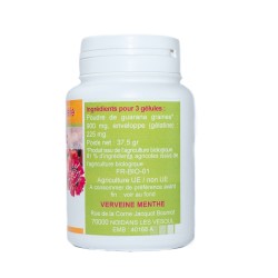 GELULES GUARANA 300 mg 120 gélules