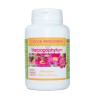 GELULES HARPAGOPHYTUM 330 mg 200 gélules