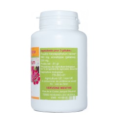HARPAGOPHYTUM GELES 330 mg 200 Kapseln