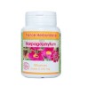 HARPAGOPHYTUM BIO 100 Kapseln, dosiert zu 330g