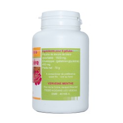 GELULES LEVURE DE BIERE dosées à 320 mg.