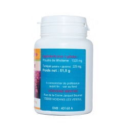GELULES LITHOTAME 440 mg 100 gélules