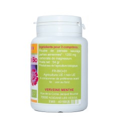 PENSEE SAUVAGE BIO AB 120 comprimés dosés à 400 mg en comprimés.