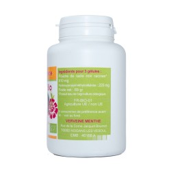 200 gélules RADIS NOIR BIO AB dosées à 270 mg.