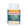 GELULES SAULE BLANC ecorce 200 mg