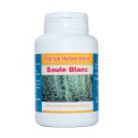 GELULES SAULE BLANC ecorce 200 gélules dosées à 200 mg poudre pure.