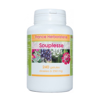 SOUPLESSE ARTICULAIRE 240 gélules 250 mg poudre pure