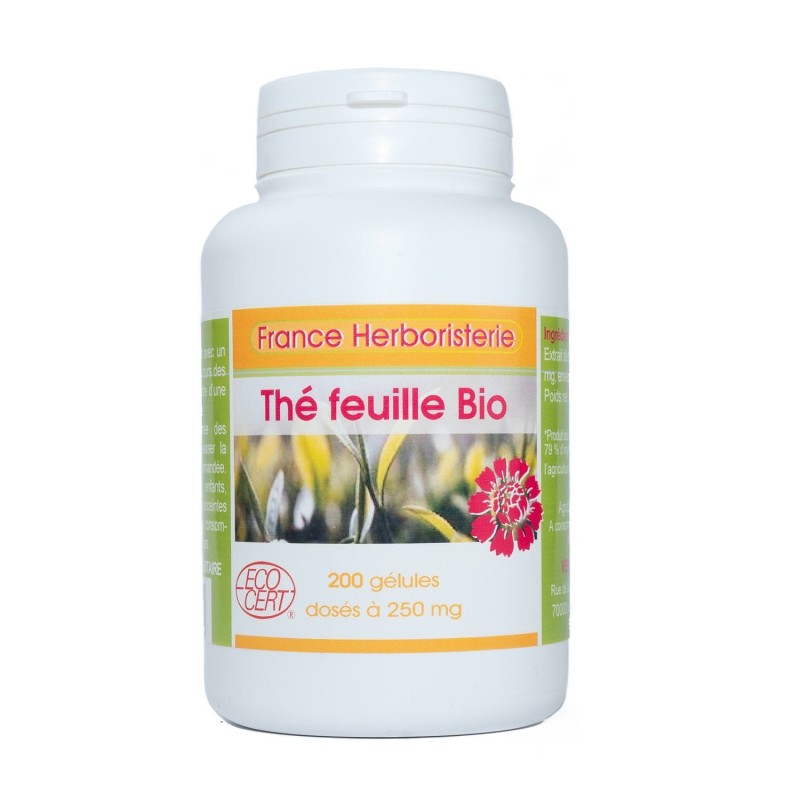 GELULES THE VERT feuille 280 mg 