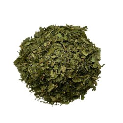 Kräutertee Bärlauch Pflanze TK 100g. Allium ursinum