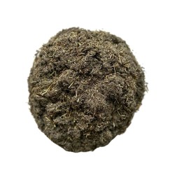 Tisane Absinthe petite plante 1 Kg. Artemisia pontica.