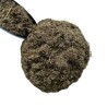 Kräutertee Absinth kleine Pflanze 1 Kg. Artemisia pontica.