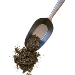 Tisane Argentine 250 GRS (Potentille) (Ansérine) plante CT Potentilla