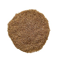 Kräutertee Grüner Anis Samen 100g