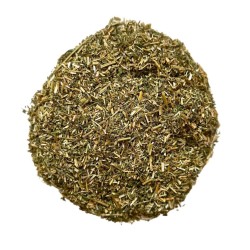 Luzerne (Alfalfa) plante 1KILO Medicago sativa