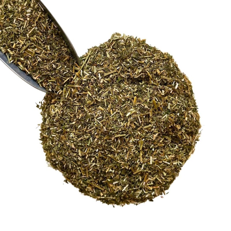 Luzerne (Alfalfa) plante 1KILO Medicago sativa