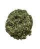 Tisane Armoise feuille 1 KILO CT Artemisia vulgaris