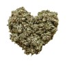 Tisane Artichaut feuille CT 100 GRS  Cynara scolymus.