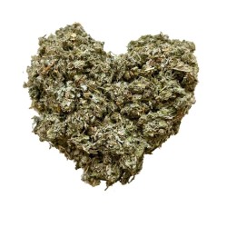 Tisane Artichaut feuille CT 250 GRS  Cynara scolymus.