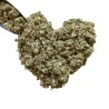 Tisane Artichaut feuille CT 250 GRS  Cynara scolymus.