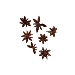 Tisane Anis étoilé ( Badiane) 300 GRS Illicium verum