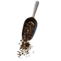 Tisane Baccharis trimera 1 KILO.