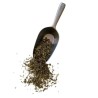 Schwarzer Marrube 250 GRS (Ballotus fetalis) Pflanze Ballota nigra