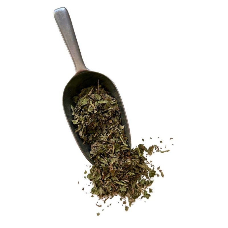Tisane Balsamite 250 GRS (Menthe Coq, Baume des jardins) plante Balsam