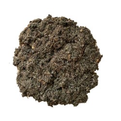 Tisane Bardane Midi feuille 1 KILO Arctium majus.
