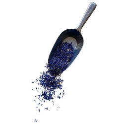 Tisane Bleuet PETALE EXTRA ENTIER 20 grs Centaurea cyanus
