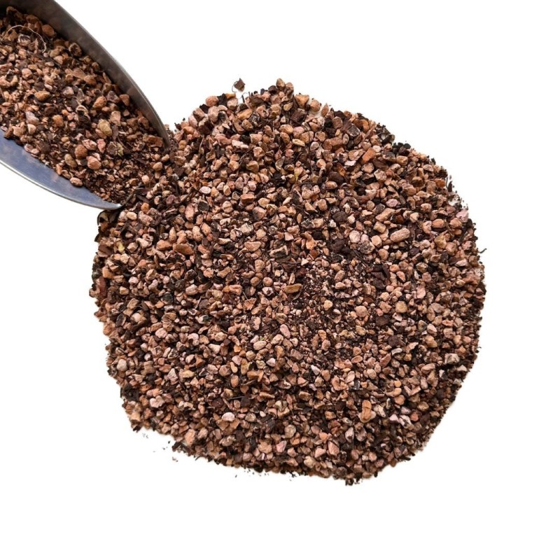 Tisane Bistorte racine 100 GRS Polygonum bistorta.