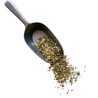 Tisane Berce plante 1 KILO Heracleum sphondylium