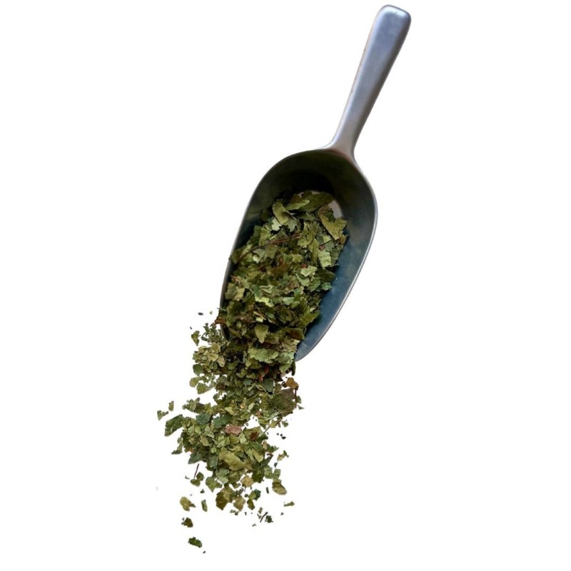 Kräutertee Birkenblatt 250 GRS Betula alba.