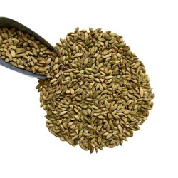 Kräutertee Ceylon-Kardamone 100 GRS VOLLSTÄNDIGE Frucht Elettaria cardamomum