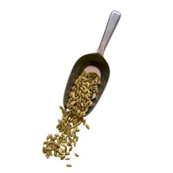 Tisane Cardamone de Ceylan 250 GRS fruit ENTIER Elettaria cardamomum