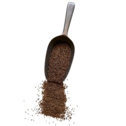 Kräutertee Kümmel Samen VOLLSTÄNDIG 100 GRS Carum carvi.