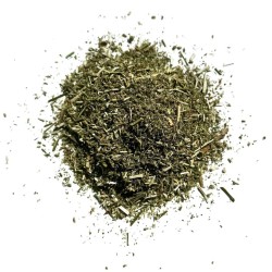 Tisane Cataire plante 250 GRS Nepeta cataria.