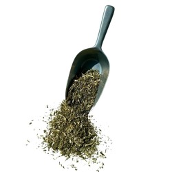 Tisane Cataire plante 250 GRS Nepeta cataria.